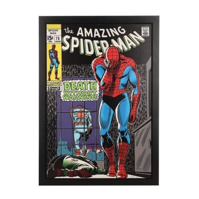 250. Stan Lee-Autographed Limited Edition Death Without Warning! Canvas ### THE AMAZING SPIDER-MAN