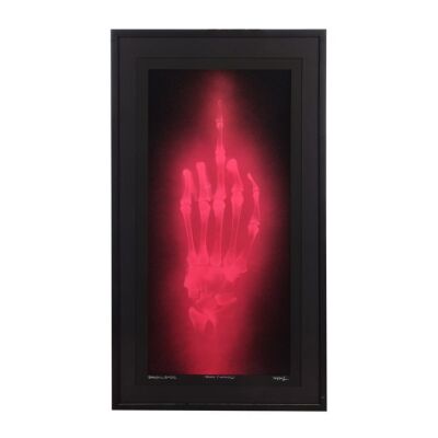 313. Neon Flamingo, 2013 ### SHOK-1
