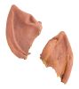 Lot #293: Spock's (Leonard Nimoy) Ear Appliances ### STAR TREK: THE MOTION PICTURE (1979)