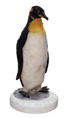 68. Life-Size Cable-Controlled Animatronic Emperor Penguin ### BATMAN RETURNS (1992)