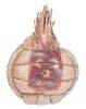 110. Chuck Noland's (Tom Hanks) Production-Made Distressed Wilson Volleyball ### CAST AWAY (2000)