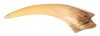 193. Basilisk Fang ### HARRY POTTER AND THE CHAMBER OF SECRETS (2002)/HARRY POTTER AND THE DEATHLY HALLOWS: PART 2 (2011)