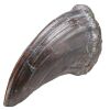 237. Tyrannosaurus Rex Toenail ### JURASSIC PARK (1993)