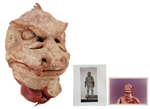336. Unpainted Gorn Head Casting From Original Molds with Two Photographs ### STAR TREK: THE ORIGINAL SERIES (T.V. SERIES, 1966-1969)