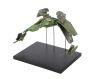 338. Klingon Bird-Of-Prey Special Effects Exploded Model Miniature ### STAR TREK: THE NEXT GENERATION (T.V. SERIES, 1987-1994)