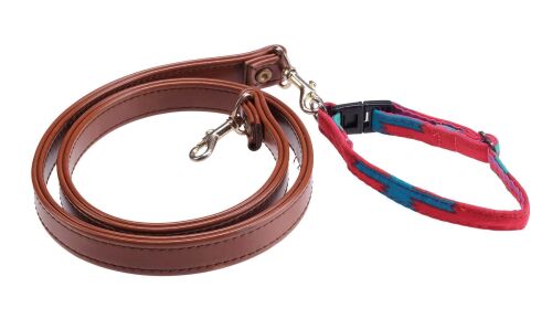 463. Verdell's (Jill the Dog) Collar and Leash ### AS GOOD AS IT GETS (1997)