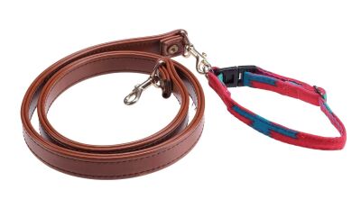 463. Verdell's (Jill the Dog) Collar and Leash ### AS GOOD AS IT GETS (1997)