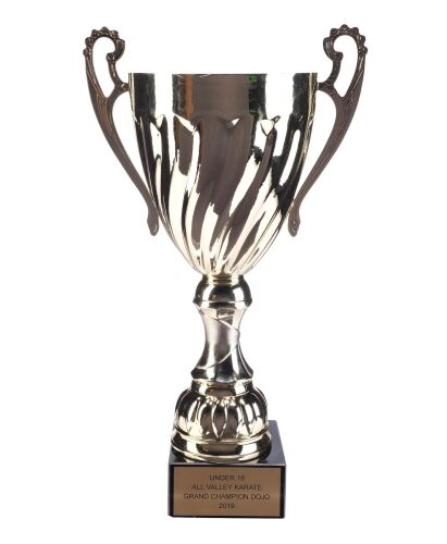 565. Sensei Kreese's (Martin Kove) Grand Champion Trophy ### COBRA KAI (T.V. SERIES, 2018-2025)