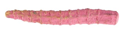 621. Tom Sullivan Collection: Deadite Tongue Casting ### THE EVIL DEAD (1981)