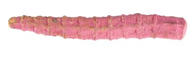 621. Tom Sullivan Collection: Deadite Tongue Casting ### THE EVIL DEAD (1981)