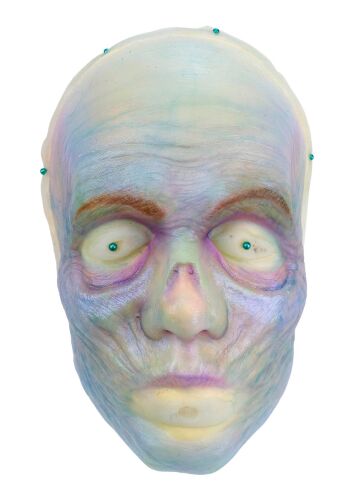 685. The Bride's (Lindsay Lamb) Facial Appliance on Head Display ### THE HAUNTED MANSION (2023)