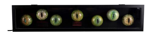 737. Set of Seven Velociraptor Paint Test Eyes Light-Up Display ### JURASSIC PARK (1993)