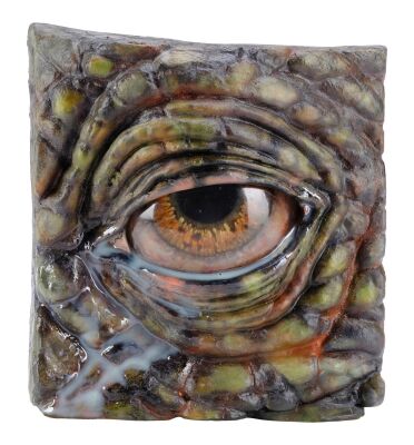 740. Sick Triceratops Reference Eye in Socket Display ### JURASSIC PARK (1993)