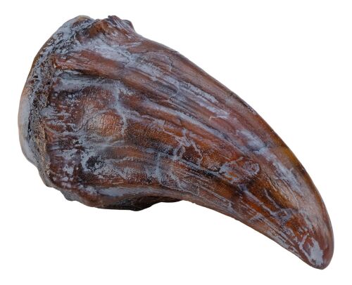 746. Production-Made Tyrannosaurus Rex Claw ### JURASSIC PARK (1993)