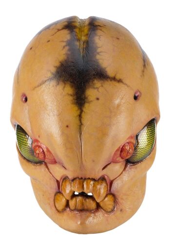 784. Production-Made 1969 Insect Alien Mask ### MEN IN BLACK 3 (2012)