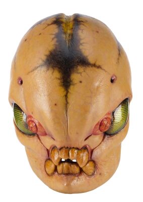 784. Production-Made 1969 Insect Alien Mask ### MEN IN BLACK 3 (2012)