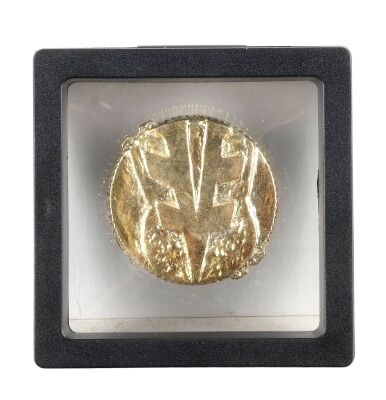 791. White Ranger's (Jason David Frank) Framed Power Coin ### MIGHTY MORPHIN POWER RANGERS (T.V. SERIES, 1993 - 1995)