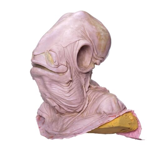 982. Admiral Ackbar (Tim Rose) Silicone Head Casting from Original Molds ### STAR WARS: RETURN OF THE JEDI (1983)