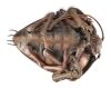 1012. Arkellian Sand Beetle ### STARSHIP TROOPERS (1997)