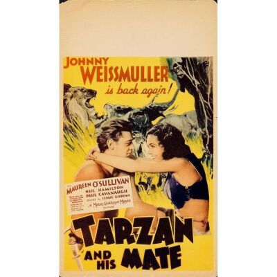 1128. Midget Window Card (8" x 14"); From the Bradleigh Vinson Collection; Fine ### TARZAN AND HIS MATE (1934)