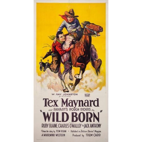 1236. Three Sheet (41" x 78"); Stone Lithograph; Very Fine- on Linen ### WILD BORN (1927)