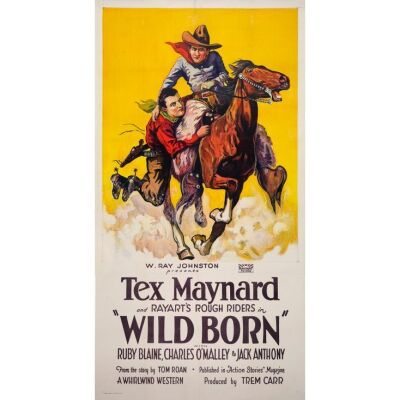 1236. Three Sheet (41" x 78"); Stone Lithograph; Very Fine- on Linen ### WILD BORN (1927)