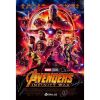 19. AVENGERS: INFINITY WAR (2018): One Sheet (27" x 40") Signed by the late Chadwick Boseman and Paul Bettany, Elizabeth Olsen, Josh Brolin, Anthony Mackie, Sebastian Stan, Danai Gurira, Letitia Wright, Mark Ruffalo, Tom Holland, D