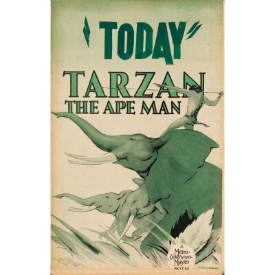 304. TARZAN THE APE MAN (1932): Window Card (14" x 22"); Very Fine-