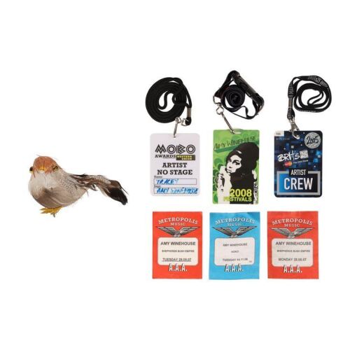 8. AMY WINEHOUSE - Decorative Bird Hair Accessory from Television Interview and Collection of Backstage Passes