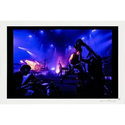 243. NINE INCH NAILS - Artist's Proof Robin and Trent Colour Palladium Print by Jonathan Rach, 2018