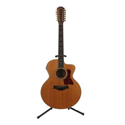 259. OASIS - Noel Gallagher's Owned and Autographed Taylor 855-CE 12-String Guitar Screen-Matched to Performance by Oasis Guitarist Gem Archer