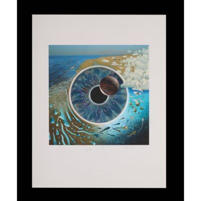 315. PINK FLOYD - Nick Mason-Autographed Pulse Limited Edition Print by Storm Thorgerson, 2001
