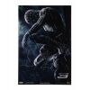 326. Tobey Maguire, Kirsten Dunst, Sam Raimi and Cast-Autographed Poster ### SPIDER-MAN 3 (2007)