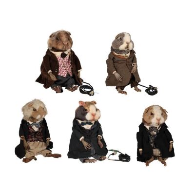 434. Set of Five Guinea Pig Puppets ### ALICE IN WONDERLAND (1999)