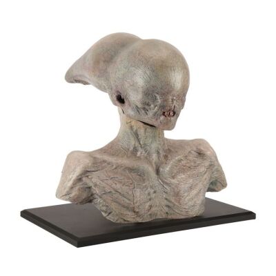 448. Lighting Stand-In Neomorph Alien Head with Replica Bust Display ### ALIEN: COVENANT (2017)