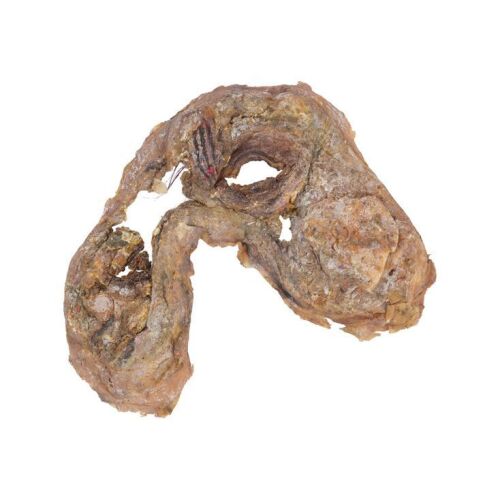 638. Tom Sullivan Collection: Deadite Cheryl Williams' (Ellen Sandweiss) Facial Appliance ### THE EVIL DEAD (1981)