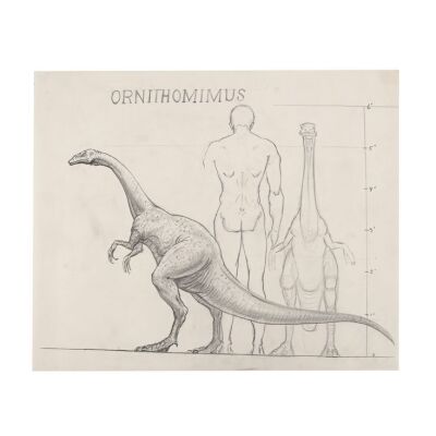 699. Hand-drawn Ray Harryhausen Ornithomimus Scale Comparison Drawing ### THE VALLEY OF GWANGI (1969)