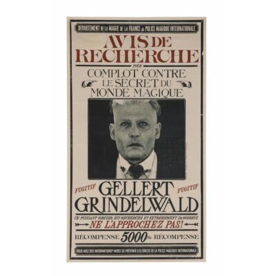 735. French Ministry Gellert Grindelwald Wanted Poster ### FANTASTIC BEASTS: THE CRIMES OF GRINDELWALD (2018)