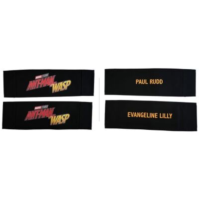 840. Paul Rudd's and Evangeline Lilly's Chairbacks ### ANT-MAN AND THE WASP (2018)