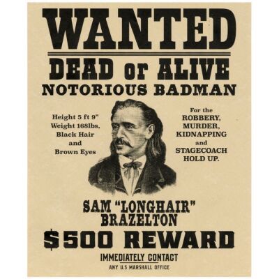 888. Bounty Law "Wanted" Poster ### ONCE UPON A TIME... IN HOLLYWOOD (2019)