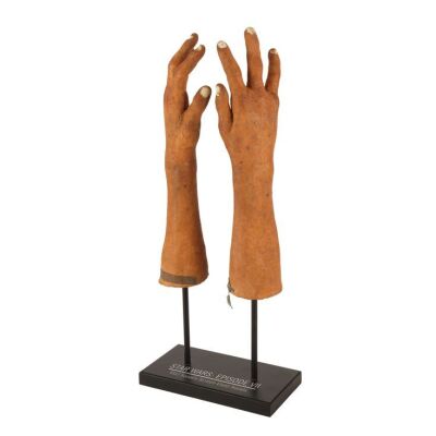 995. Maz Kanata's (Lupita Nyong'o) Pair of Hands ### STAR WARS: THE FORCE AWAKENS (2015)
