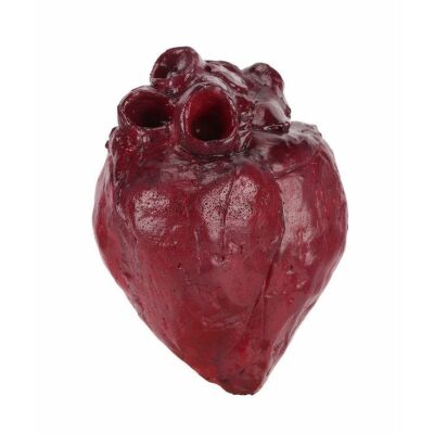 160. Daenerys Targaryen's (Emilia Clarke) Horse Heart ### GAME OF THRONES (T.V. SERIES, 2011-2019)