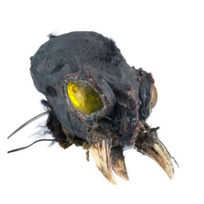 367. Screen-matched Light-Up Cave Spider Head ### CARAVAN OF COURAGE: AN EWOK ADVENTURE (1984)