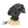19. SFX Xenomorph Mask ### AVPR: ALIENS VS. PREDATOR - REQUIEM (2007)