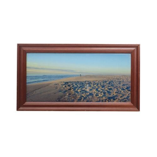 865. Gonzo's Screen-matched "Lonely Gonzo" Framed Picture ### MUPPETS FROM SPACE (1999)