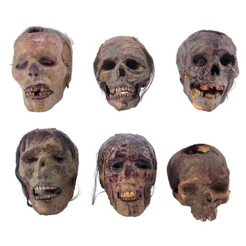 18. Set of Six Bloody Heads and Skulls ### APOCALYPTO (2006)
