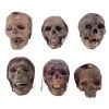 18. Set of Six Bloody Heads and Skulls ### APOCALYPTO (2006)