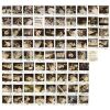 23. Set of 79 Continuity Photos ### APOLLO 13 (1995)
