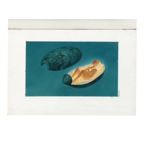 111. Hand-Painted Ralph McQuarrie Antarean Cocoon Concept Painting ### COCOON (1985)