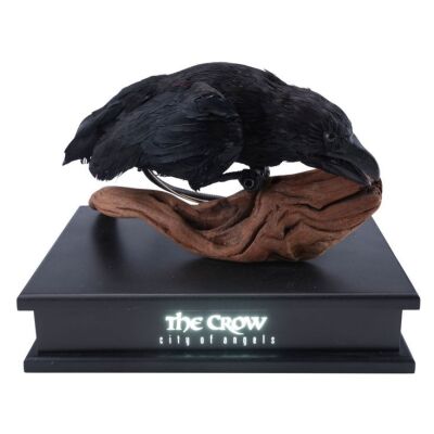 123. Cable-Controlled Animatronic Crow Puppet on Light-Up Display ### THE CROW: CITY OF ANGELS (1996)